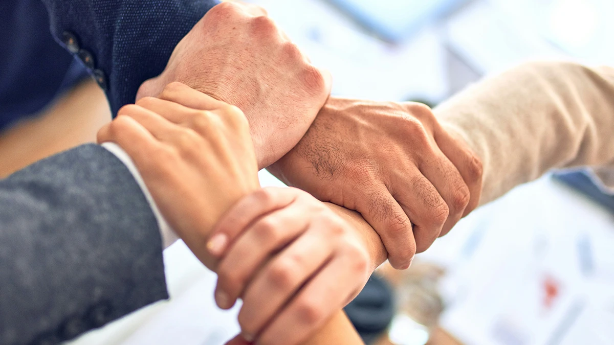 hands interlaced