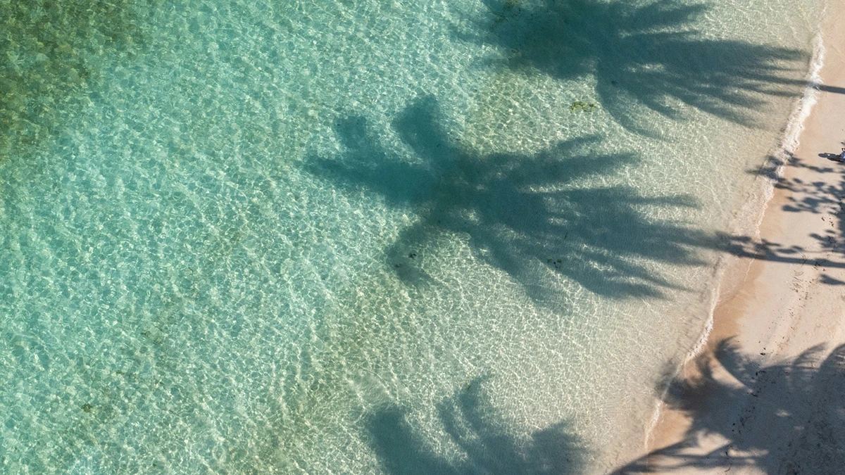 tourism exotic beach